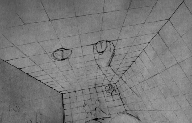 Wisdom Tooth - Luisa Bacelar